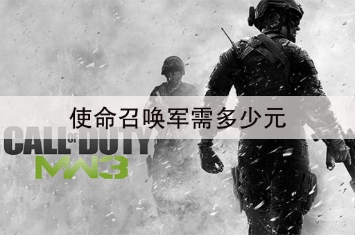 使命召唤军需多少元