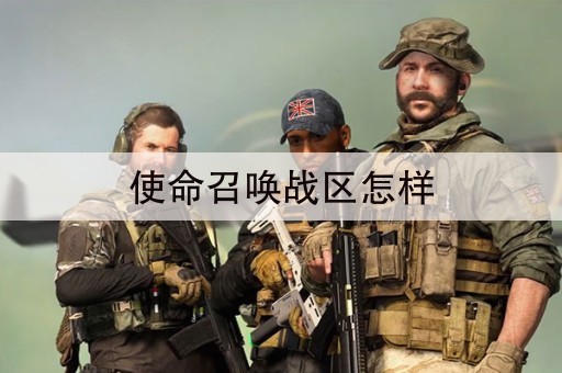 使命召唤战区怎样